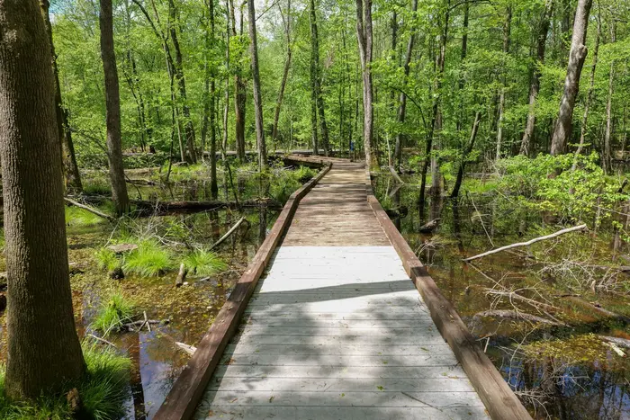 Flat Creek Nature Area