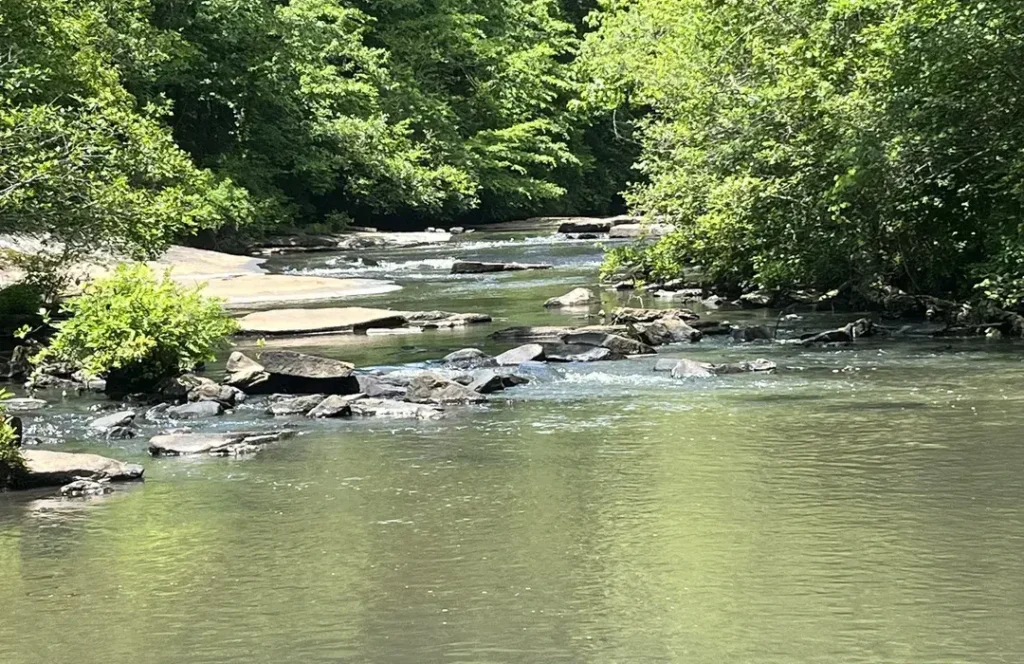 Line Creek Nature Area
